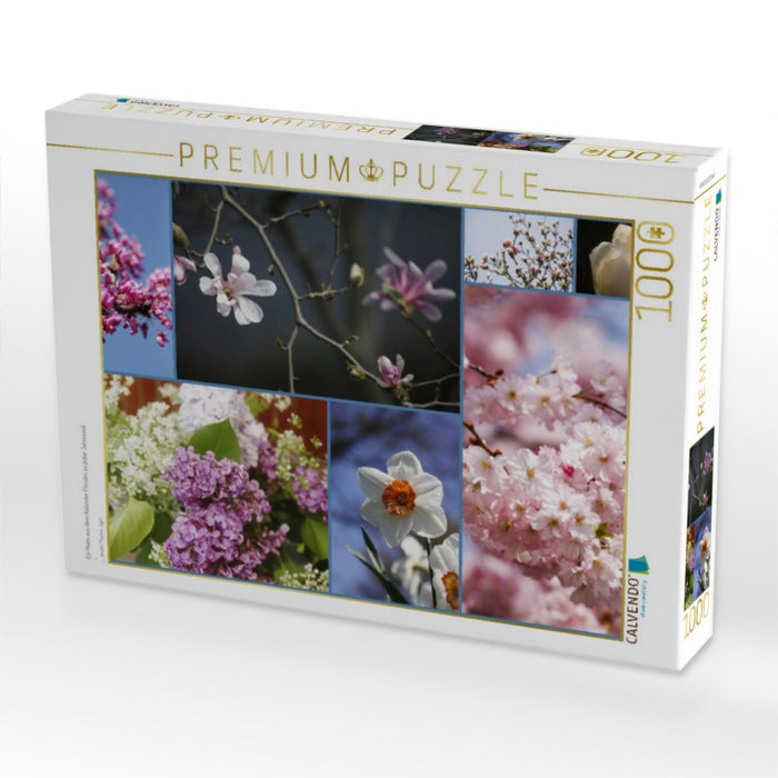 Ein Motiv aus dem Kalender Florales zu jeder Jahreszeit - CALVENDO Foto-Puzzle'