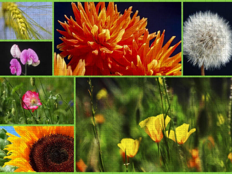 Ein Motiv aus dem Kalender Florales zu jeder Jahreszeit - CALVENDO Foto-Puzzle'