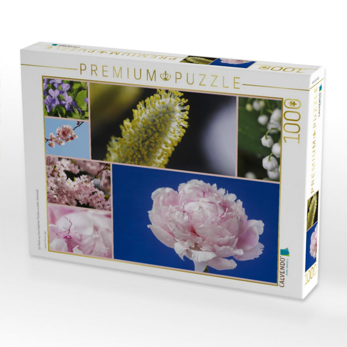 Ein Motiv aus dem Kalender Florales zu jeder Jahreszeit - CALVENDO Foto-Puzzle'