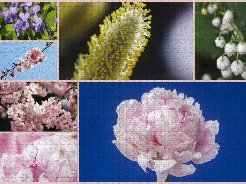 Ein Motiv aus dem Kalender Florales zu jeder Jahreszeit - CALVENDO Foto-Puzzle'