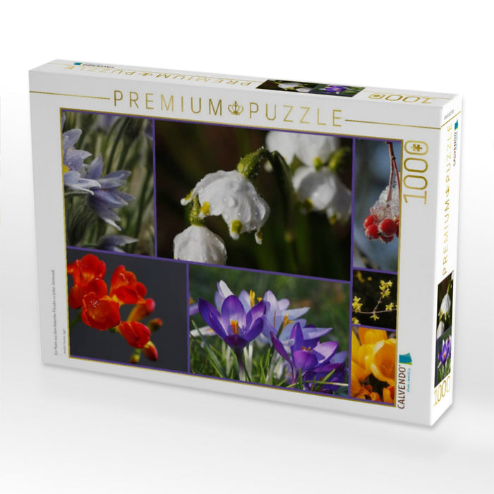 Ein Motiv aus dem Kalender Florales zu jeder Jahreszeit - CALVENDO Foto-Puzzle'