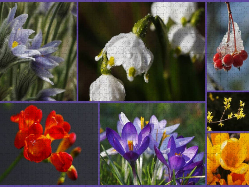 Ein Motiv aus dem Kalender Florales zu jeder Jahreszeit - CALVENDO Foto-Puzzle'