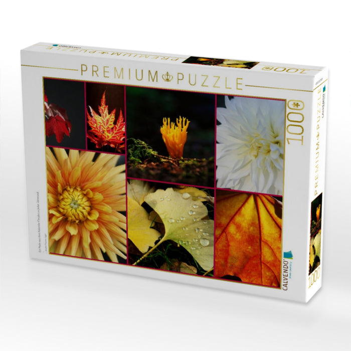Ein Motiv aus dem Kalender Florales zu jeder Jahreszeit - CALVENDO Foto-Puzzle'