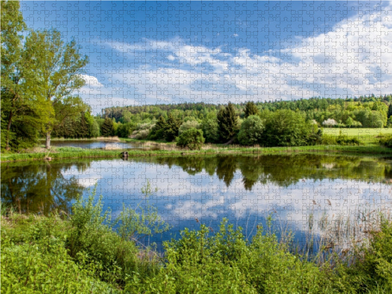 Karpfenteich 1000 Teile Puzzle quer - CALVENDO Foto-Puzzle'