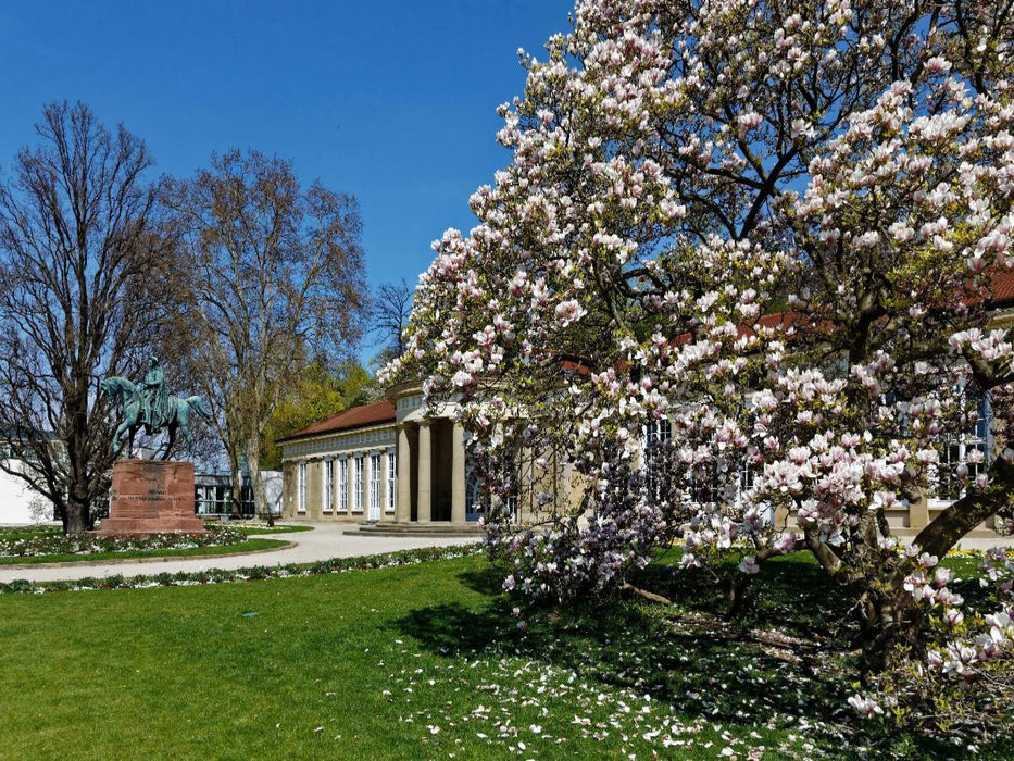 Magnolienblüte im Kurpark Bad-Cannstatt - CALVENDO Foto-Puzzle'