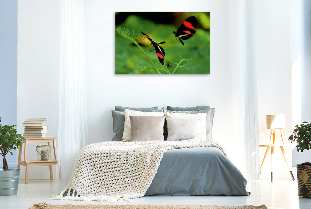 Premium Textil-Leinwand Premium Textil-Leinwand 120 cm x 80 cm quer Heliconius-Falter