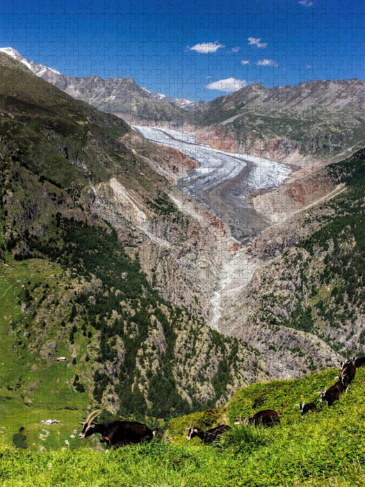 Fieschergletscher (Wallis - Schweiz) - CALVENDO Foto-Puzzle'