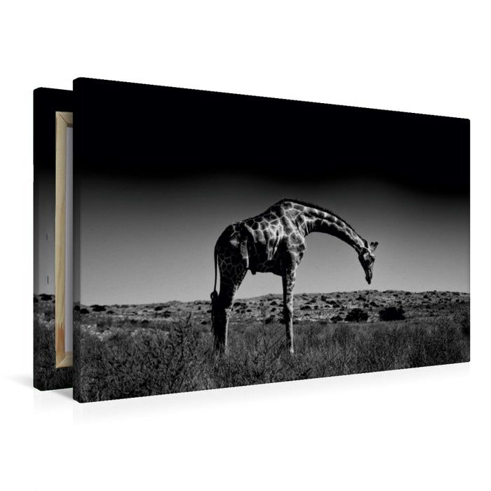 Toile textile premium Toile textile premium 120 cm x 80 cm paysage Girafe 