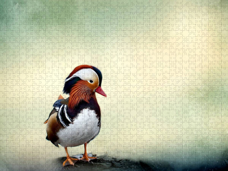 Mandarinente - CALVENDO Foto-Puzzle'