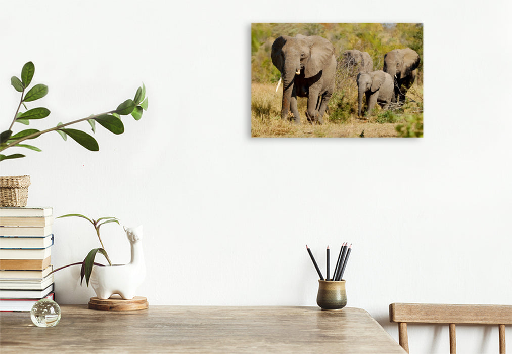 Toile textile premium Toile textile premium 120 cm x 80 cm paysage Famille d'éléphants 