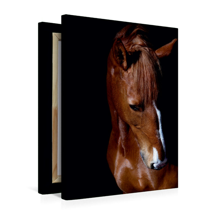 Premium Textil-Leinwand Diva