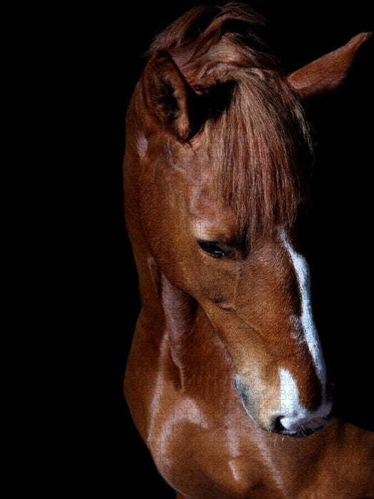 Diva - CALVENDO Foto-Puzzle'