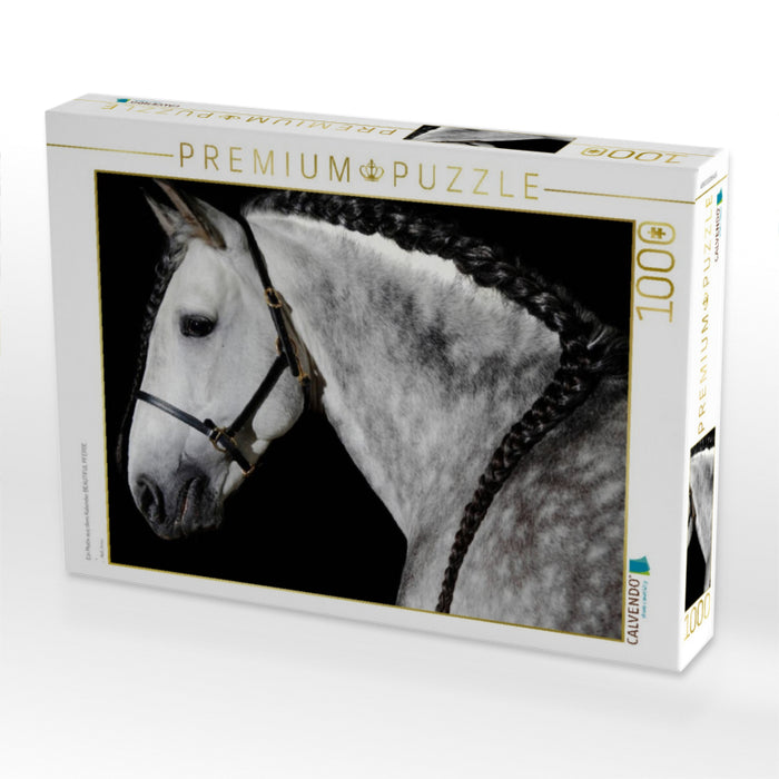 Ein Motiv aus dem Kalender BEAUTIFUL PFERDE - CALVENDO Foto-Puzzle'