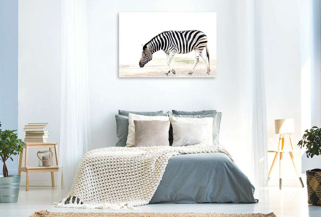 Premium Textil-Leinwand Premium Textil-Leinwand 120 cm x 80 cm quer Zebra