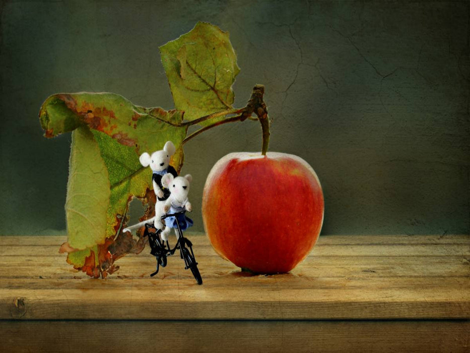 Familie Maus und der Apfel - CALVENDO Foto-Puzzle'