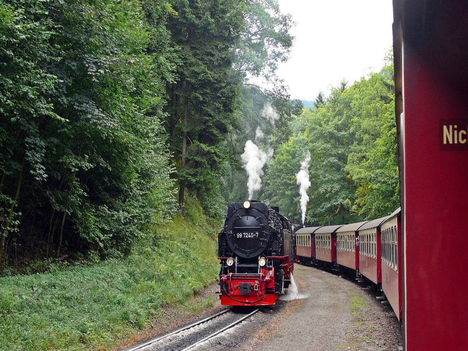 Bei der Brockenbahn im Harz - CALVENDO Foto-Puzzle'
