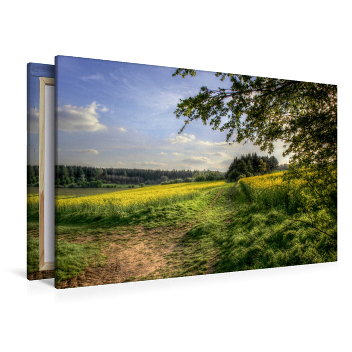 Premium Textil-Leinwand Rapsfeld in der Gegend von Mechernich