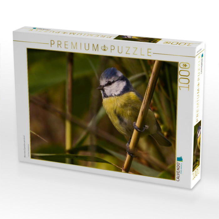 Blaumeise (Cyanistes caeruleus) - CALVENDO Foto-Puzzle'