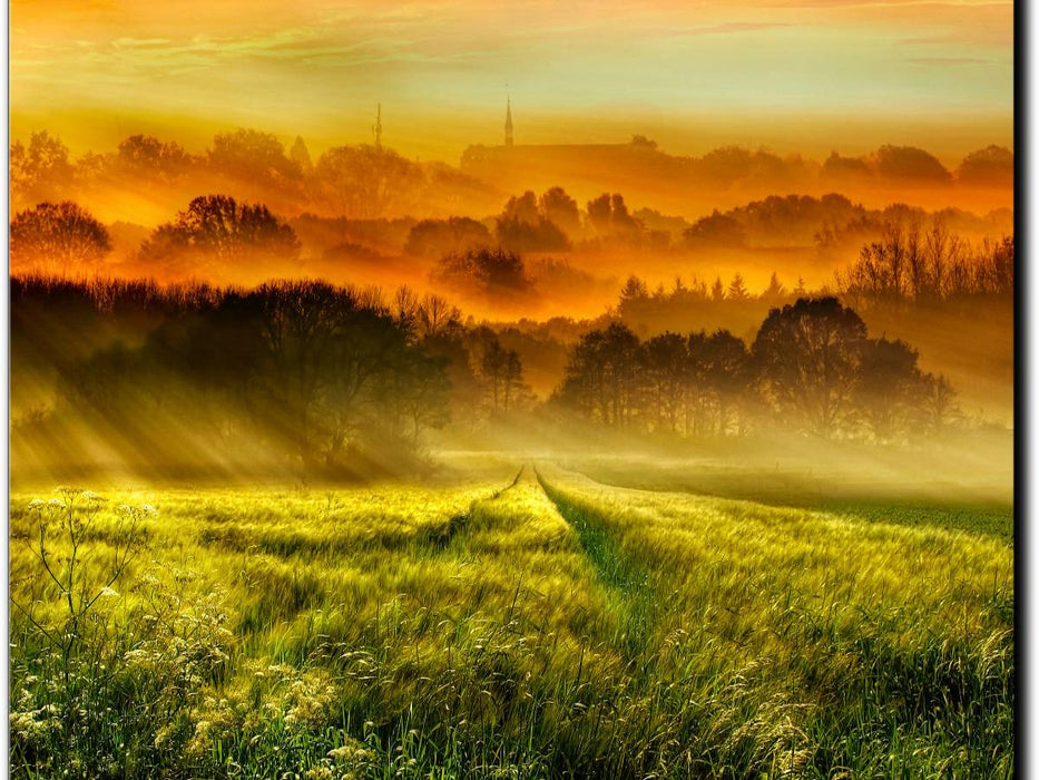 Über dem Kornfeld geht die Sonne auf - CALVENDO Foto-Puzzle'