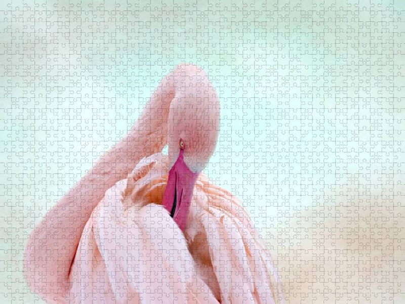 Rosa Flamingo - CALVENDO Foto-Puzzle'