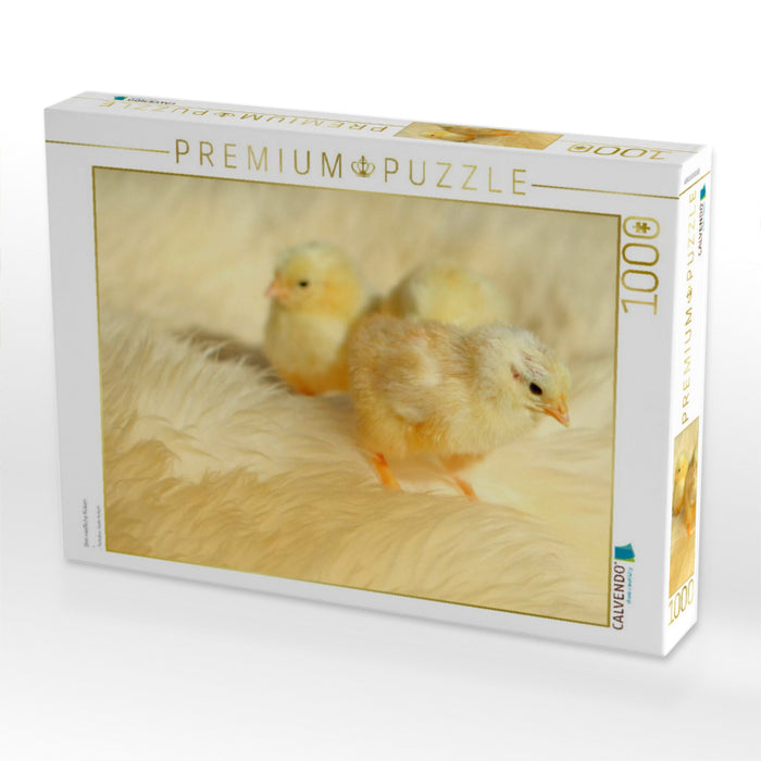 Drei niedliche Küken - CALVENDO Foto-Puzzle'