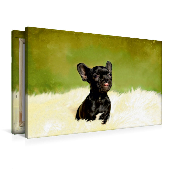 Premium Textil-Leinwand Niedlicher Hundewelpe