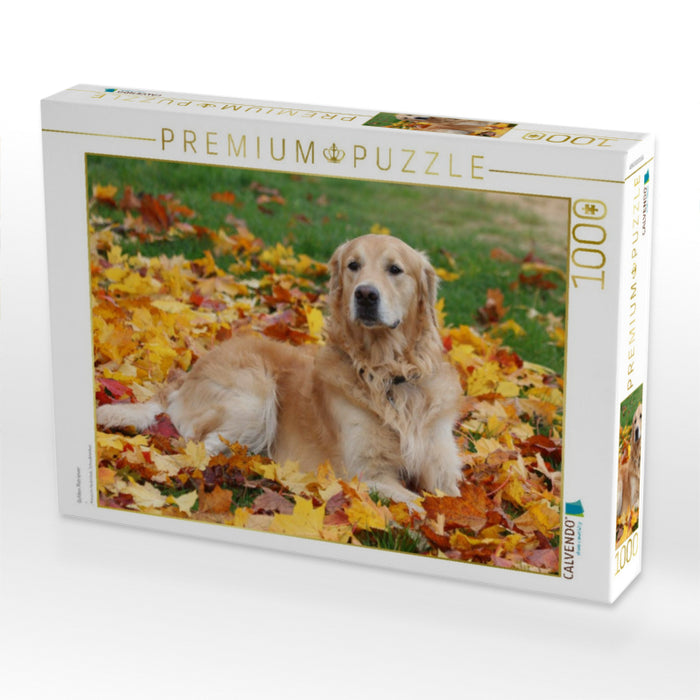 Golden Retriever - CALVENDO Foto-Puzzle'