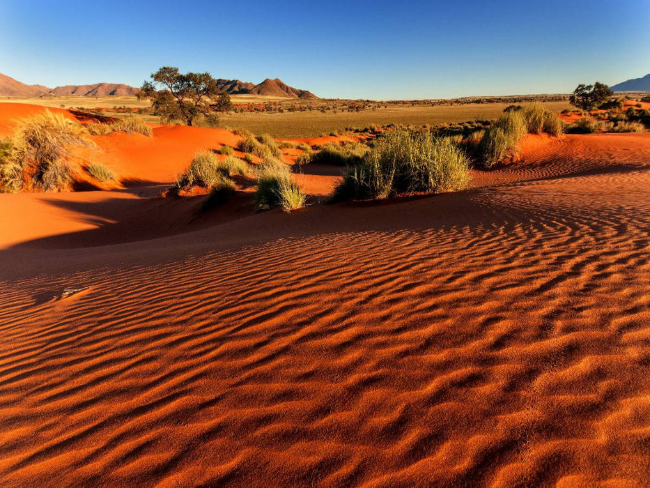 Morgenlicht in der Namib-Wüste in der Sossusvlei - CALVENDO Foto-Puzzle'