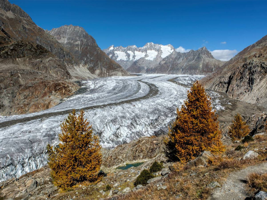 Herbst am Aletschgletscher in der Schweiz - CALVENDO Foto-Puzzle'