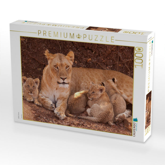 Wilde Löwen - CALVENDO Foto-Puzzle'