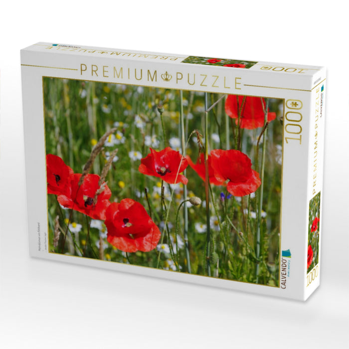 Mohnblumen am Feldrand - CALVENDO Foto-Puzzle'