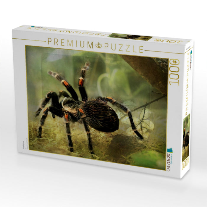 Vogelspinne - CALVENDO Foto-Puzzle'
