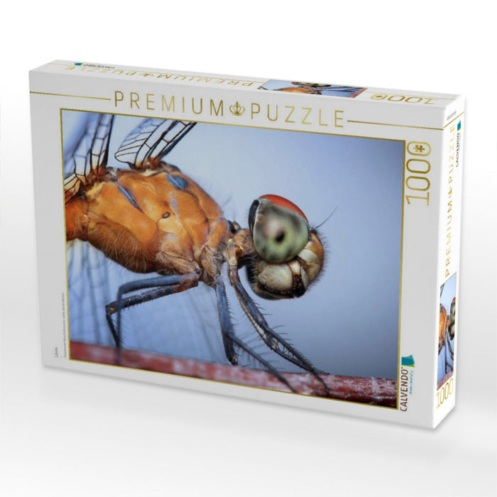 Libelle - CALVENDO Foto-Puzzle'
