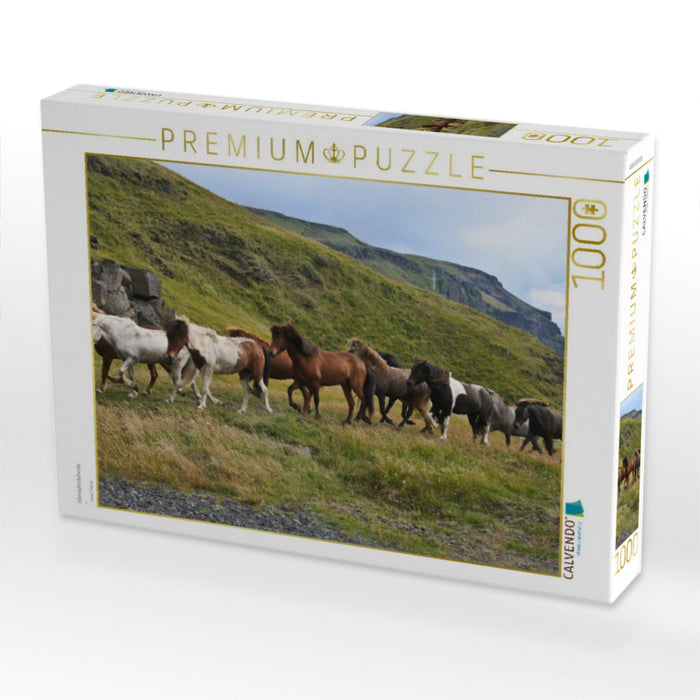 Islandpferdeherde - CALVENDO Foto-Puzzle'
