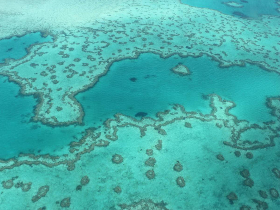 Great Barrier Reef Queensland Australien - CALVENDO Foto-Puzzle'