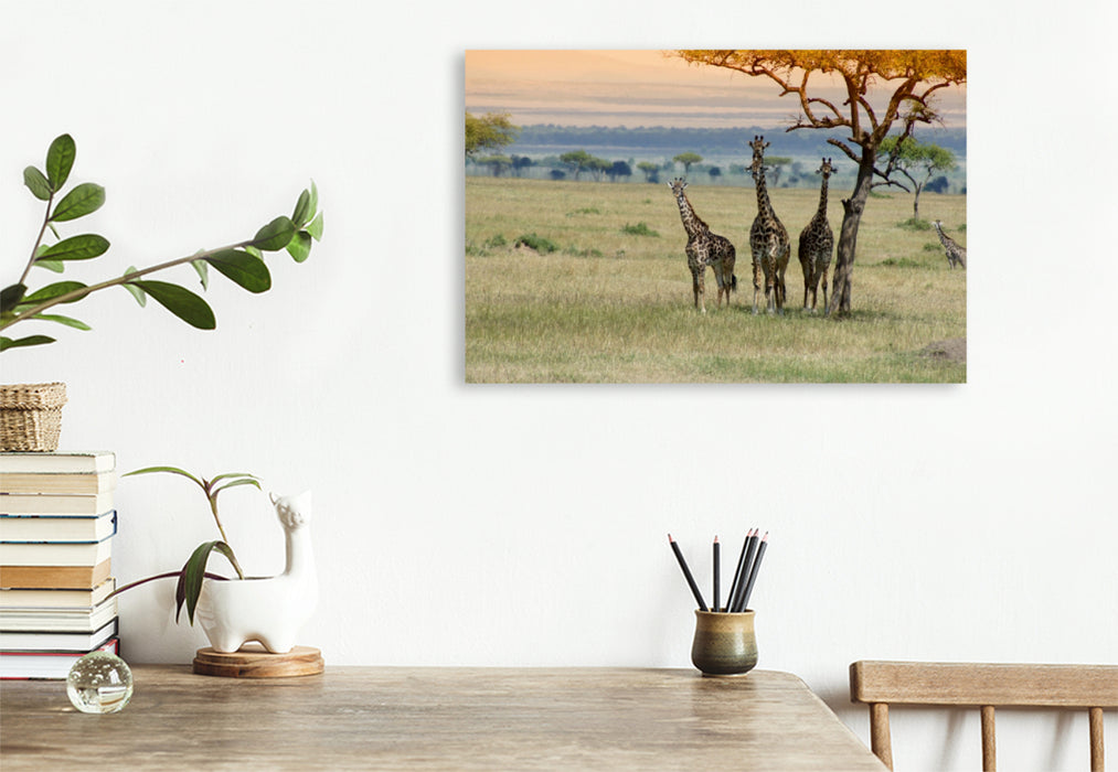 Premium Textil-Leinwand Premium Textil-Leinwand 120 cm x 80 cm quer Ein Motiv aus dem Kalender Faszination Safari. Wildlife in Kenia