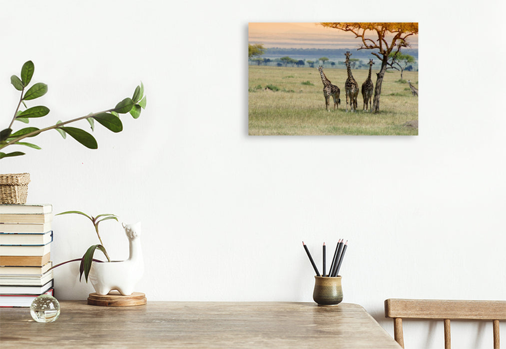 Premium Textil-Leinwand Premium Textil-Leinwand 120 cm x 80 cm quer Ein Motiv aus dem Kalender Faszination Safari. Wildlife in Kenia