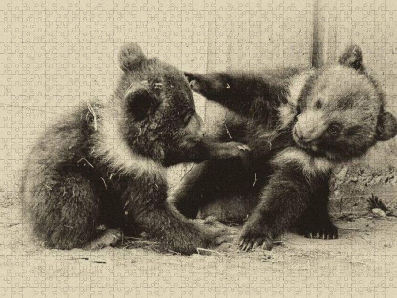 Gemeinsam herumtoben - CALVENDO Foto-Puzzle'