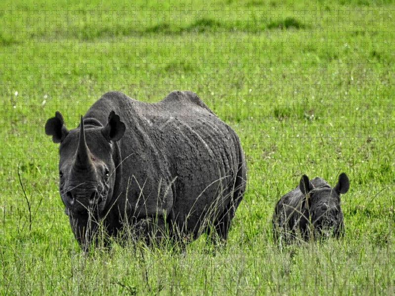 Nashorn mit Jungtier - CALVENDO Foto-Puzzle'