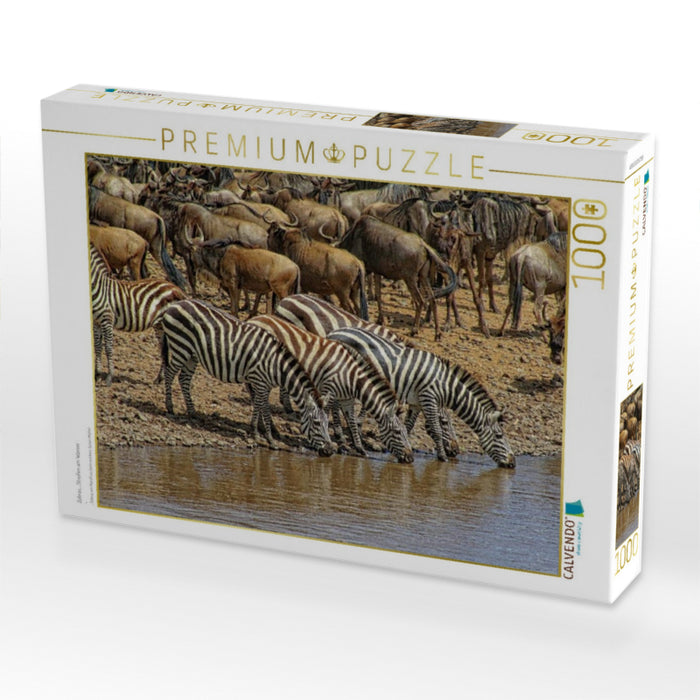 Zebras....Streifen am Wasser - CALVENDO Foto-Puzzle'