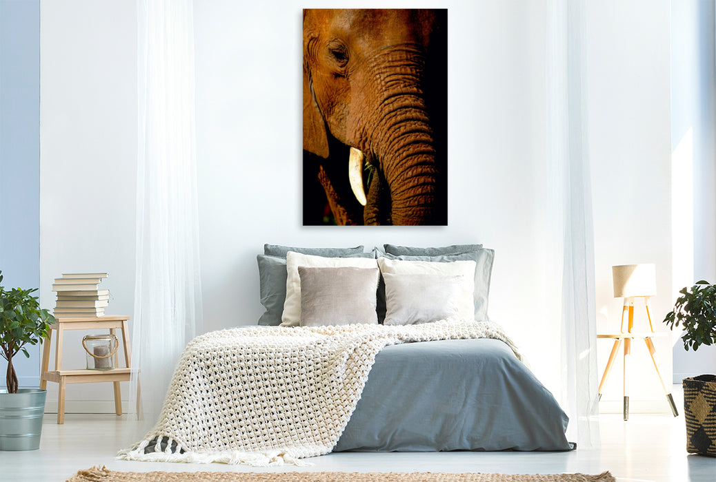 Premium Textil-Leinwand Premium Textil-Leinwand 80 cm x 120 cm  hoch Elefant.....Auge in Auge