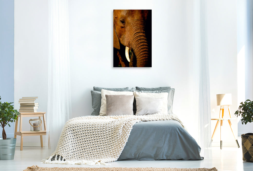 Premium Textil-Leinwand Premium Textil-Leinwand 80 cm x 120 cm  hoch Elefant.....Auge in Auge