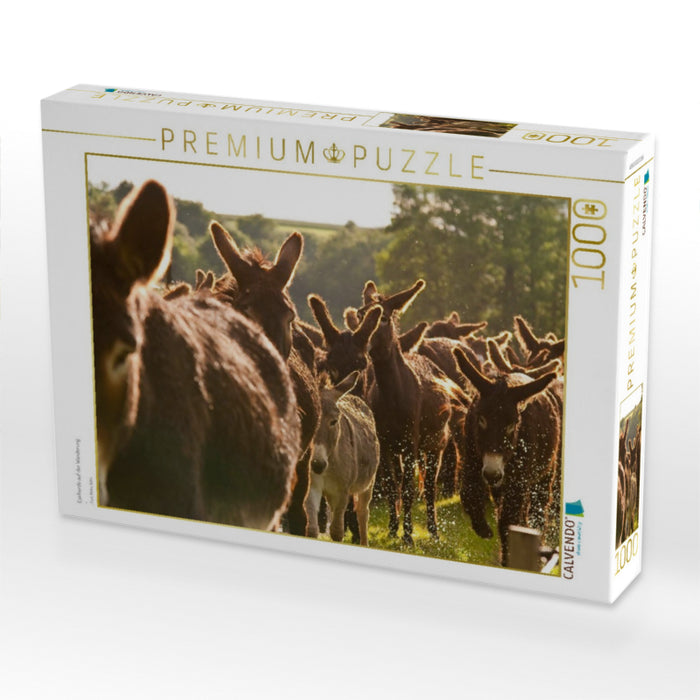 Eselherde auf der Wanderung - CALVENDO Foto-Puzzle'