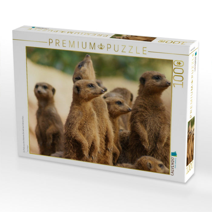 Ein Motiv aus dem Kalender Die Welt der Erdmännchen. - CALVENDO Foto-Puzzle'