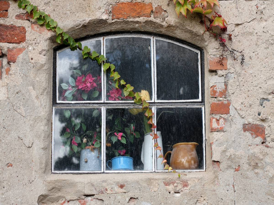 Fenster mit Efeuranken - CALVENDO Foto-Puzzle'