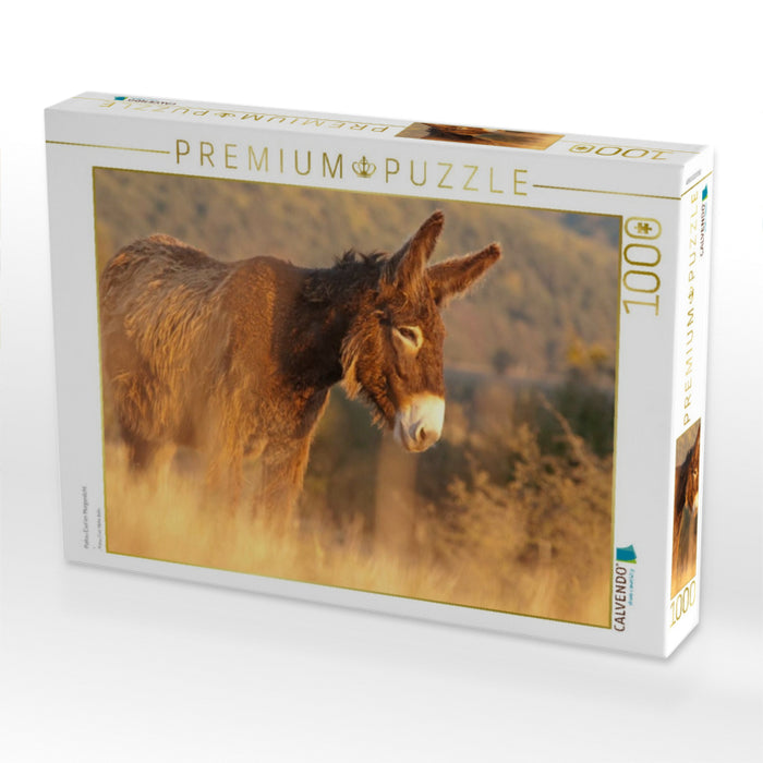 Poitou Esel im Morgenlicht - CALVENDO Foto-Puzzle'