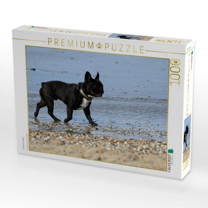 HUND AM STRAND - CALVENDO Foto-Puzzle'