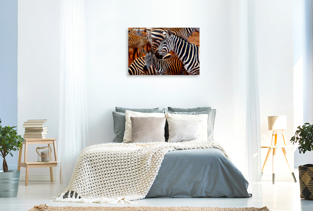 Premium Textil-Leinwand Premium Textil-Leinwand 120 cm x 80 cm quer Zebras im Tsavo Ost