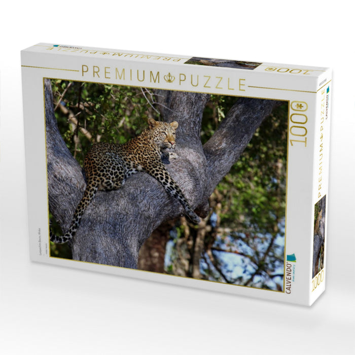 Leopard im Baum, Afrika - CALVENDO Foto-Puzzle'