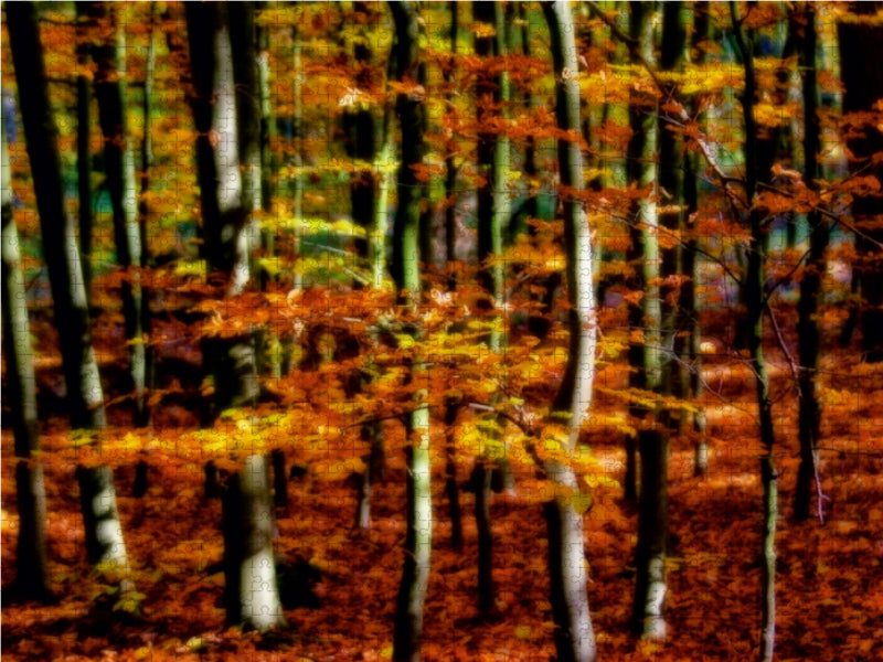 Goldener Herbst 1000 Teile Puzzle quer - CALVENDO Foto-Puzzle'